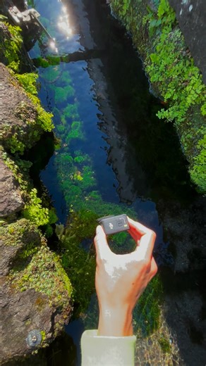 nngo | Beautiful oxygen bubbles😇 #japan #beautiful #underwater #nature #natural | Instagram