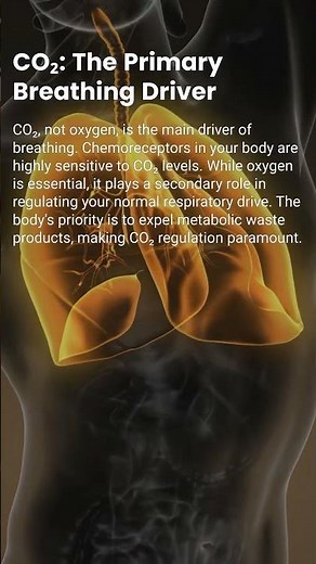 What Really Drives Breathing? CO₂ Explained | RN Explains 123