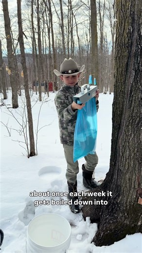 Our favorite sweetener comes from our trees!