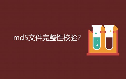 文件完整性校验