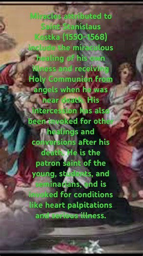 Saint stanislaus Kostka a saint from #poland #catholicchurch #christianchristian #miracle #holymass