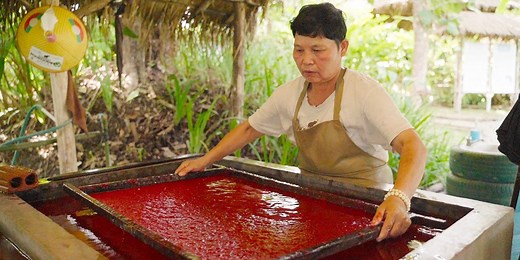 How paper made of poop could save elephants and trees