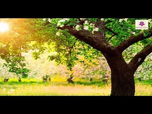 All About Trees | Environmental Studies Grade 4 | Periwinkle