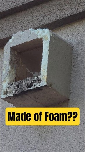 The extent of this woodpecker damage is unreal #homerepair #wildlife