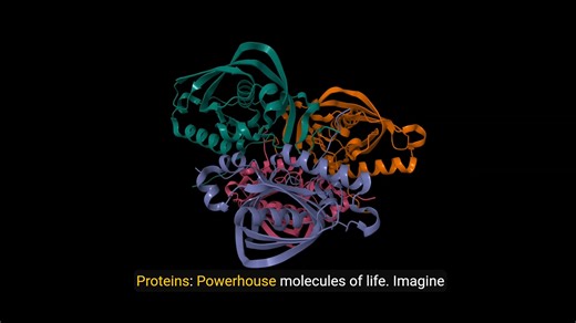 Understanding Protein Functions: Enzymes, Structural, Transport & Signaling Proteins Explained Dive into the fascinating world of proteins with this instructional video designed for students. Learn about the vital roles proteins play in living organisms, including enzymes, structural proteins, transport proteins, and signaling proteins. This video breaks down complex biology concepts into clear, engaging explanations with relatable examples. Perfect for anyone looking to strengthen their foundat