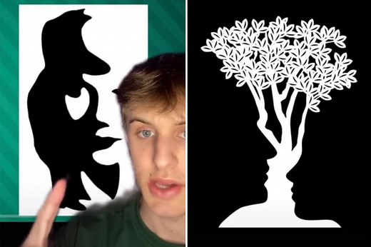 Optical illusions reveal secret about your personality: What do you see?