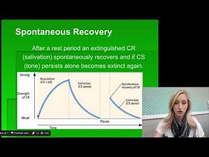 Classical Conditioning Flipped Notes Part Two for AP Psychology by Mandy Rice