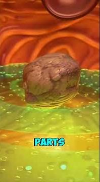 What Happens When You Eat Chicken 🍗 | Step-by-Step Digestion Explained in 3D