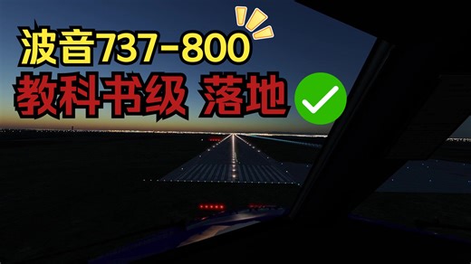 波音738教科书级落地？！【X-Plane12】