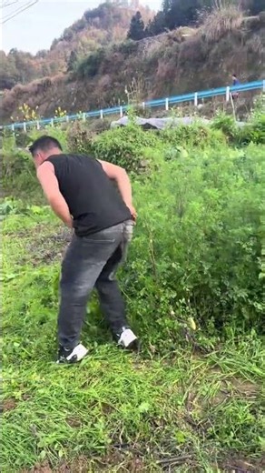 Hilarious! Unbelievable Weirdness - Watch & Giggle