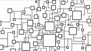 Ecosystems and ecological networks