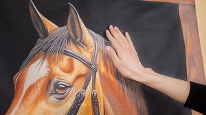 VitalCozy 71 x 35 Inch Derby Party Decorations Horse Racing Door Cover Fabric Stable Themed Party Front Door Backdrops Cover Horse Hanging Banner Sign for Derby Decorations Equestrian Events Supplies