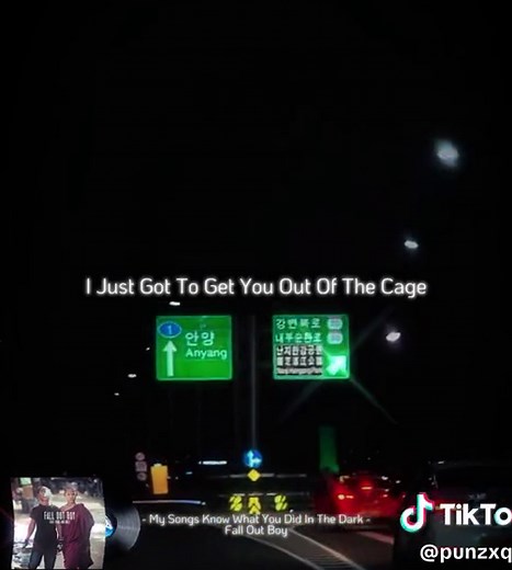 Fall Out Boy - My Songs Know What You Did In The Dark