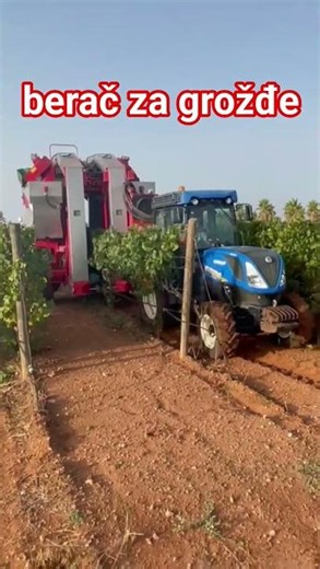 ​Zver u vinogradu! 💪​ Najbrža berba ikada. ⏱️​ Mašina vs. Ručni rad: Ko pobeđuje? #machine