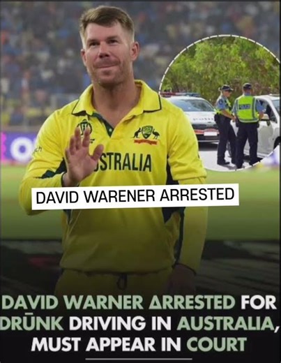 Australian legend David warner arrested 😨|#1 #FYP #Cricket #Edit #warner