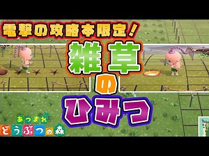 電撃の攻略本にしか載ってない情報を活用して化石の完全固定と光る地面（金のなる木）について徹底検証してみた【あつ森】【どうぶつの森】攻略