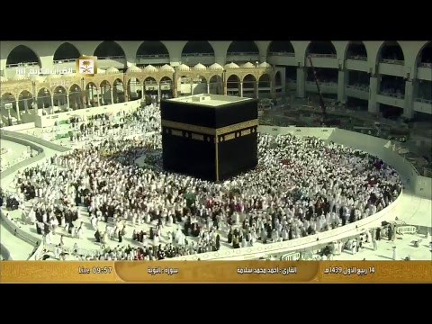 قناة القرآن الكريم - بث مباشر