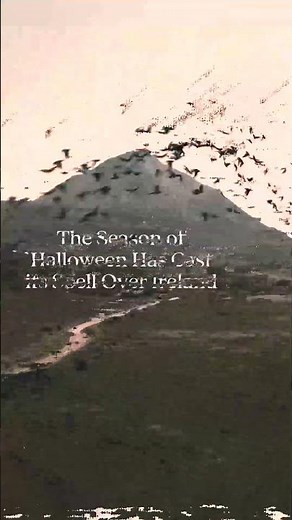 Halloween Season has arrived on the Island of Ireland #halloween #ireland #fyp