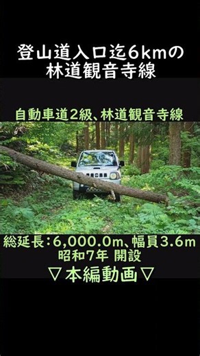 【公開動画】 林道観音寺線 ジムニー #jimny #automobile #オフロード #jb23w