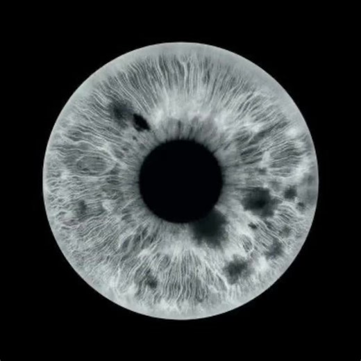 Grey eyes addition! Which next? Fun fact - Gray eyes are extremely rare, found in about 1% of people, and get their color from low melanin and light scattering. This creates a light appearance instead of true pigment. #fypシ #greyeyes #heatedrivalryedit #ilyarozanov #shanehollander