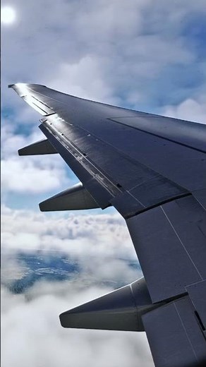 Boeing 737 Flap Action