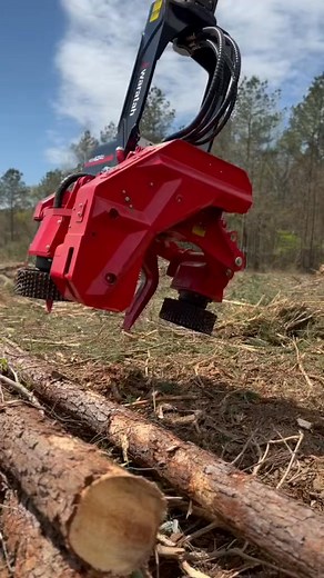New addition to the TDK logging equipment tigercat H855E waratah 624C#pushin🅿️ #AFairShotWithBlock #loggerkevin #newname #tigercat #waratah #tdklogginginc #fyp #logging @top fans | Peake Warren