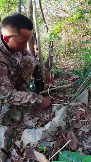 37K views · 559 reactions | Skills needed for trapping wildlife #bushcraft #trap #alanhtrapper | Amora Loza | Facebook
