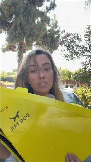 Is This the Cutest Windshield Wiper Ever? Dog Taij Review