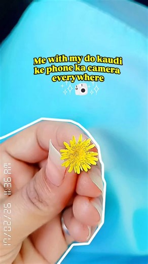 Nature asthetic with my Android phone camera 📷 #nature #viral #ytshorts #flowerlove #asthetic