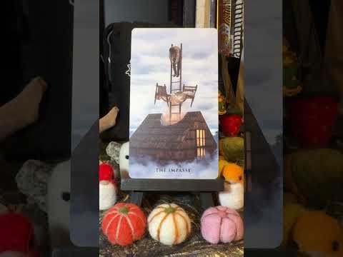 ASMR Oracle Card of the Day Pull: The Somnia Oracle
