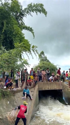 Real Life 100% Cast Net Fishing 3Kg In River At The Countryside (Part 1244) #fishing #fish #new