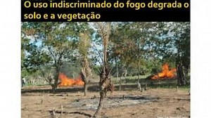 Biomas do Brasil - Caatinga - Bráulio Almeida Santos - UFPB