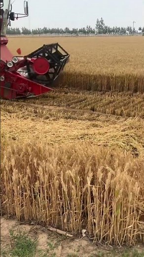 Tunge Maskiner til Græsslåning i Landbruget 🚜