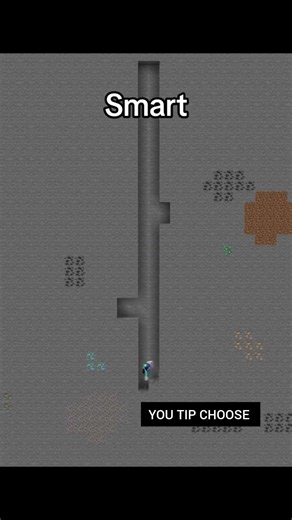 WHICH ONE DO YOU USE? #youtube #minecraft