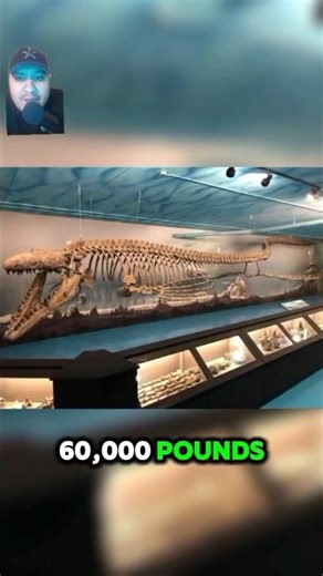 The Biggest Marine Reptile Ever! 🦎 #mosasaurus #dinosaurs #trending