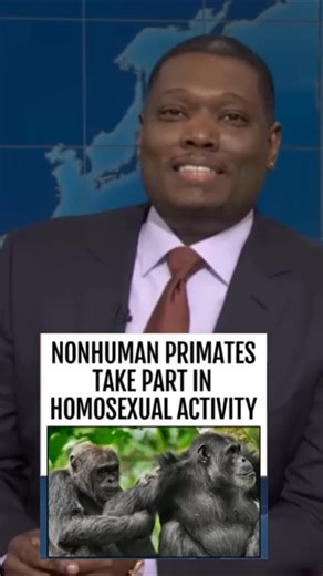 SNL Funny Shorts #comedy #shortsfeed