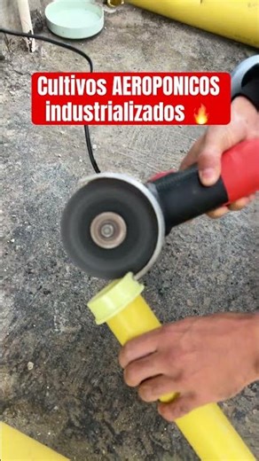 Cultivo aeroponico paso a paso en mi canal #aeroponia #viralshorts #shorts