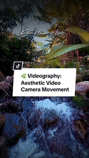 Aesthetic nature video camera movement tutorial. #aesthetic #tutorial #naturephotography #videography #sirmartstudios