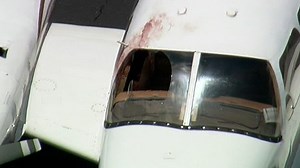 Birdstrike Knocks Out Airplane Windshield