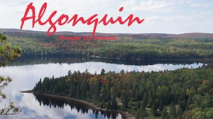 Algonquin Through The Seasons