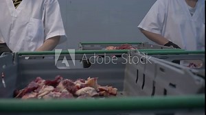 Preparing fresh meat for delivery to stores. Slow motion. Meat production and food industry,