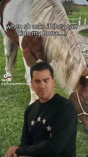 Obviously...LOL :) | Horse Jokes & Equine Info