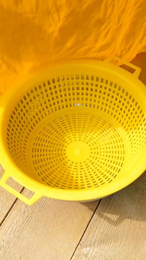 Incredibly inventive plant growing techniques! | 5-Minute Crafts