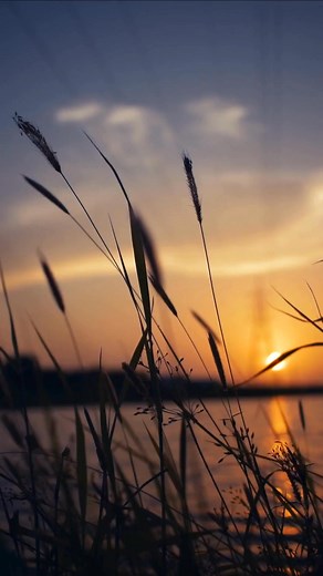 Recupera tu energía sin químicos. ✨ Diobene te ayuda a vivir con equilibrio y bienestar cada día. Natural. Seguro. Efectivo. 🌿 #Diobene #ViveMejor #SuplementoNatural #SaludDiaria #ReelsEspaña #CuidadoPersonal #GlucosaEstable | Diobene