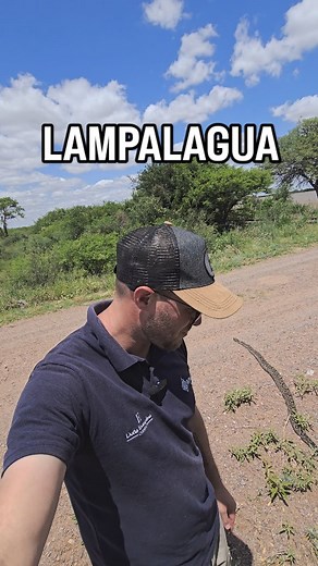 Mauro Lauret on Reels