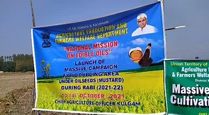 1.1K views · 18 reactions | Scientific cultivation of Oilseed could...