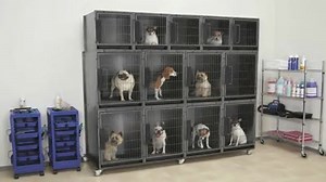 ProSelect Modular Kennel Cages | PetEdge