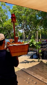 729K views · 6.8K reactions | 寧Les invitamos a probar el...