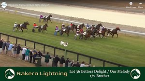 **Woodlands Winners: "Merry Christmas"** It has been another fabulous week for our star-studded lineup of stallions. The Duchess once again dominated, another Lather Up filly celebrated victory, Chase Me truly lived up to his name, and the King produced another high-quality 2-year-old, now 3 for 3. Mark Hughes and Stacey White join me in highlighting the winners and a yearling at the upcoming NZB StandardbredSale. Merry Christmas from the team at Woodlands Stud NZ www.woodlandsstud.co.nz | Campb
