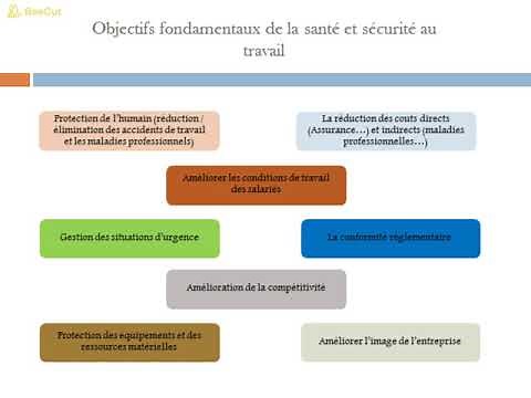 Formation HSE 1: Rôle/Responsabilité/Compétence d'un Animateur HSE & Principes de Prévention